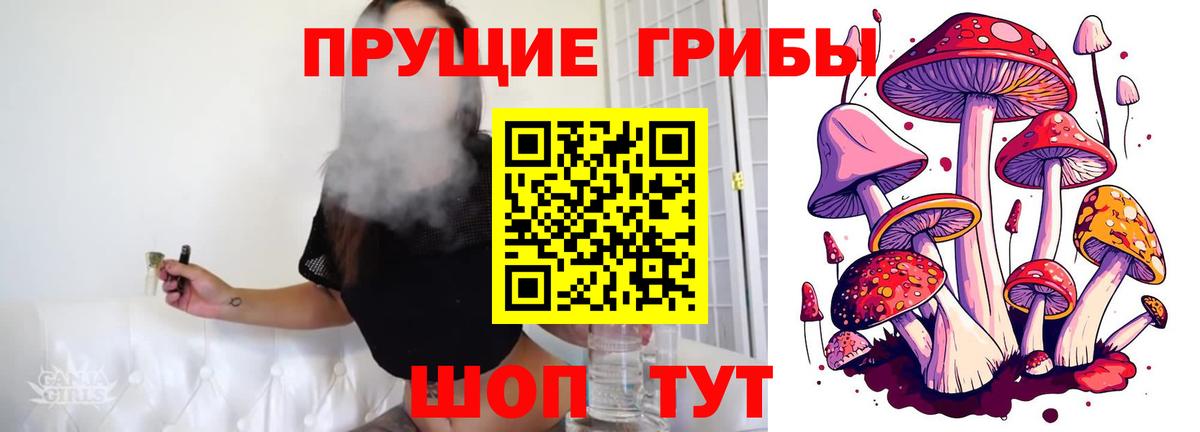 Псилоцибиновые грибы Psilocybine cubensis  Вход с VPN  Магнитогорск 